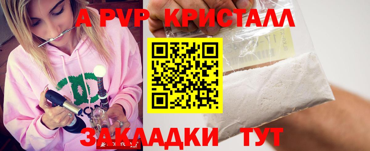 Alfa_PVP СК Сокол